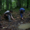 ŽVN II. - 3